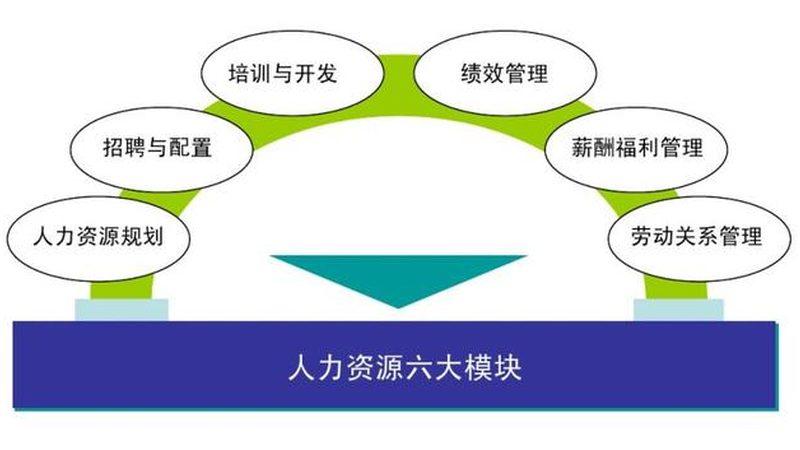 人才库建设：构建高效人才管理的基石